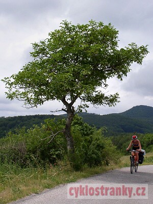 Slovensko a Maarsko 2003, 1. st